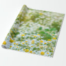 Suche nach molkerei geschenkpapier Für alle