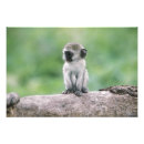 Suche nach protokoll poster Niedlich