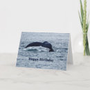 Suche nach buckelwal karten Alaska