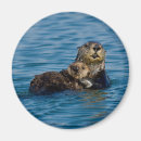 Suche nach niedliche otter magnete Tierwelt