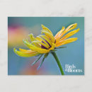 Suche nach susan postkarten Gelbe blume