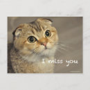 Suche nach missing you postkarten Cute