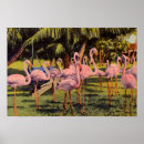 Suche nach rosa flamingos poster Vintag