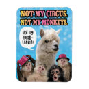 Suche nach lustige affe küchenaccessoires Affen