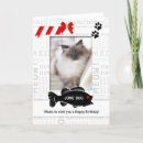 Suche nach rote katze karten Jede person