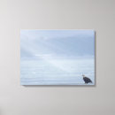 Suche nach wildlife leinwandbilder Adlerkunst