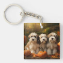 Suche nach kürbis schlüsselanhänger Jede person