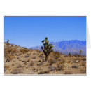 Suche nach mojave Palme