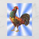 Suche nach vintager hahn postkarten Jede person