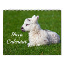Suche nach schäfer kalender Schafe