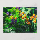 Suche nach monet iris postkarten Blume
