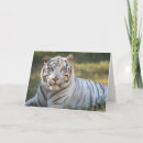 Suche nach weißer tiger karten Katze