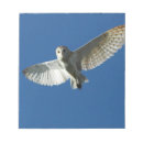 Suche nach flug notizblock Usa