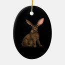 Suche nach kaninchen ornamente Wald