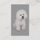 Suche nach bichons visitenkarten Hund