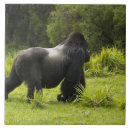 Suche nach mcdonalds fliesen Ruanda