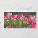 Suche nach gardener fotokarten Rosa