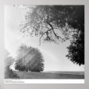 Suche nach northern california poster Vereinte staaten