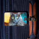 Suche nach süßes tier gepäckanhänger Katze