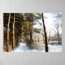 Suche nach winter forest poster Woodland