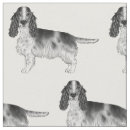 Suche nach englisch cocker spaniel Niedlich