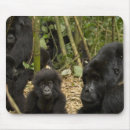 Suche nach berggorilla mousepads Afrika