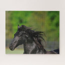 Suche nach black horse puzzle Schwarz