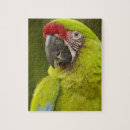 Suche nach ara puzzle Papagei