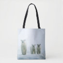 Suche nach junges taschen Tier