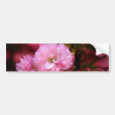 Suche nach der frühling autoaufkleber Kirschblüten