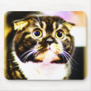 Suche nach unglaublich witzig mousepads Spaß