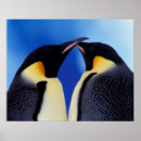 Suche nach pinguine poster Niedlich