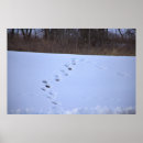 Suche nach spur poster Winter
