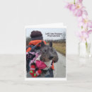 Suche nach wandernd postkarten Wanderer