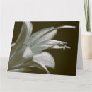 Suche nach hosta karten Blume