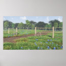 Suche nach texas landschaft poster Bluebonnets