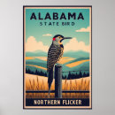 Suche nach flicker poster Vogelvogel