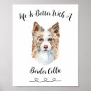 Suche nach hundewanderer poster Haustierportrait