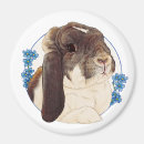 Suche nach klappen magnete Hase