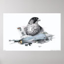 Suche nach falke poster Falcon