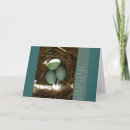 Suche nach buddha zitat karten Zen