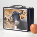 Suche nach lustige tiere brotdosen Jede person