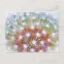 Suche nach paulson Jaynes galerie