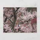 Suche nach ôsaka postkarten Natur