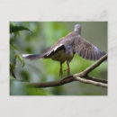 Suche nach mit flügeln postkarten Grün