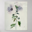 Suche nach 18 jahrhundert poster Blume