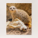 Suche nach meerkat puzzle Zoo