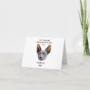 Suche nach sphynx katze karten Frischkatze