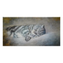 Suche nach sleeping poster Katze