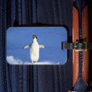 Suche nach eis gepäckanhänger Pinguin